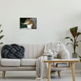 thumbnail image 3 of Stupell Industries Funny Shocked Pose Squirrel Animals & Insects Photography Unframed Art Print Wall Art, 15 x 10, 3 of 7