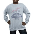 thumbnail image 3 of Harry Potter Boys Quidditch At Hogwarts Sweatshirt, 3 of 5