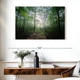 thumbnail image 3 of Elephant Stock Lighting Forest Ii Wall Art - Horizontal Canvas Wall Art - Living Room Wall Decor - Nature Canvas - Green And Beige Decor By Philippe Manguin - 39" x 26", 3 of 8