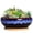 Black and Blue, variant on 8 Inch Succulent Pots with Drainage Hole & Bamboo Tray,Round Ceramic Shallow Planter for Indoor Plants,Cactus,Bonsai Tree Blue