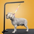 thumbnail image 2 of Country Brook Petz® Fashion Zebra Spring Loaded Grooming Loop, 20 Inch, 2 of 5