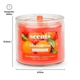 thumbnail image 2 of Vela Aromática Scents for Everyday Mandarina 420 g, 2 of 4