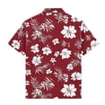 thumbnail image 5 of Rvasteizo Boys Short Sleeve T-Shirts Hawaiian Printed Lapel Soft Short Sleeve Shirt Top for Boys 3-15Years, 5 of 5