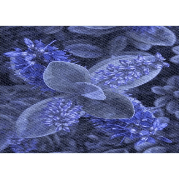 Ahgly Company Indoor Rectangle Patterned Blue Whale Blue Area Rugs, 8' x 12'