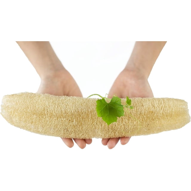 Esponja vegetal natural entera, 3 piezas, para baño, exfoliante corporal para bebés, ducha, lufa, lufa, celulosa, biodegradable, compostable, cero residuos, lavadora
