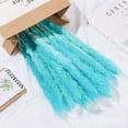thumbnail image 5 of 15pcs Dried Flowers 17 inch Natural Dried Pampas Grass Reed Plant with Box Real Flowers Romantic Wedding Flower Bulrush Bouquets Flavorful Durable for DIY Home Decor Matching Photography (Blue), 5 of 14
