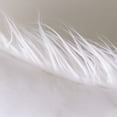 thumbnail image 6 of Phantoscope 22" x 22" Faux Fur Decorative Throw Pillow, Plush Cushion with Insert for Couch, Bed, Chair, Off White, 1 Pack, 6 of 6