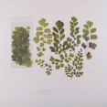 thumbnail image 3 of 6pcs/pack Flower Shop Series Decorative Stickers - Perfect for Scrapbooking, Labeling, Diary Albums & More!, 3 of 5
