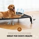 thumbnail image 3 of Cama Elevada para Perros Czpalo para Perros Medianos hasta 27 kg, 3 of 6