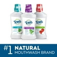 Tom's of Maine Children's Anticavity Fluoride Rinse Mouthwash, Silly