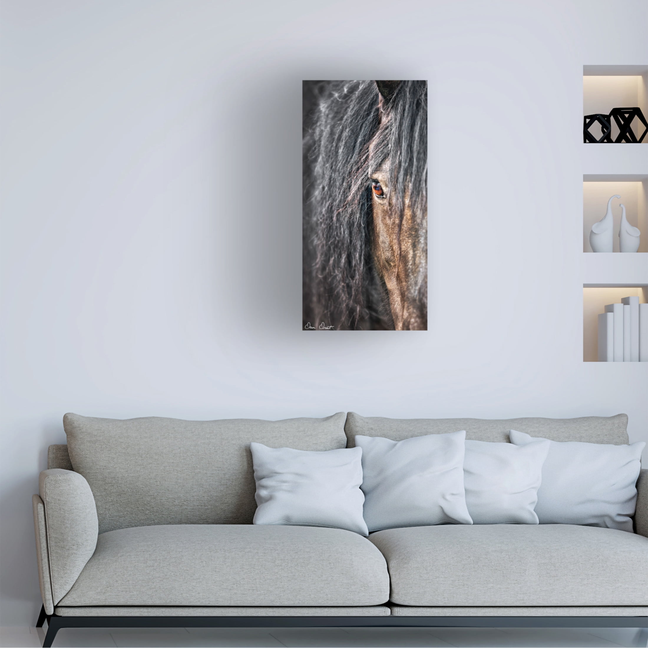 Trademark Fine Art David Drost Grey Horse Mane Canvas Wall Art