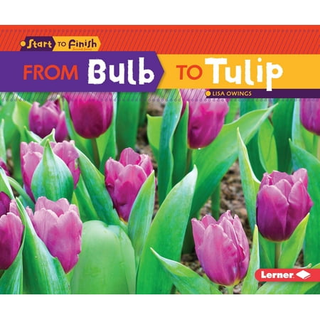 From Bulb to Tulip Start to Finish Second Series Epub-Ebook