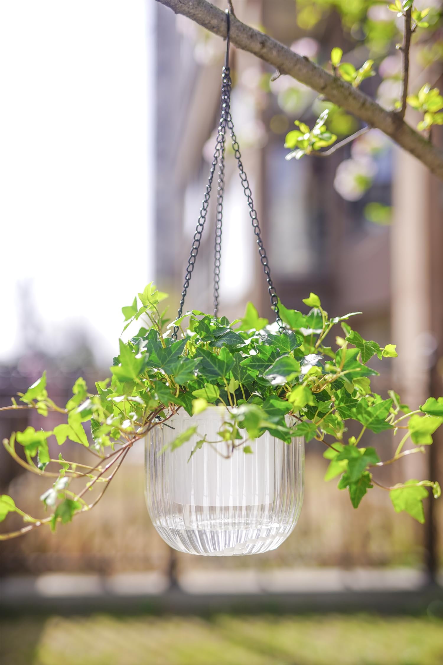 2 Pack Self Watering Hanging Planters 6.5 Inch Indoor Outdoor Flower Pots with Drainage Holes and Hooks for Garden Home Decor