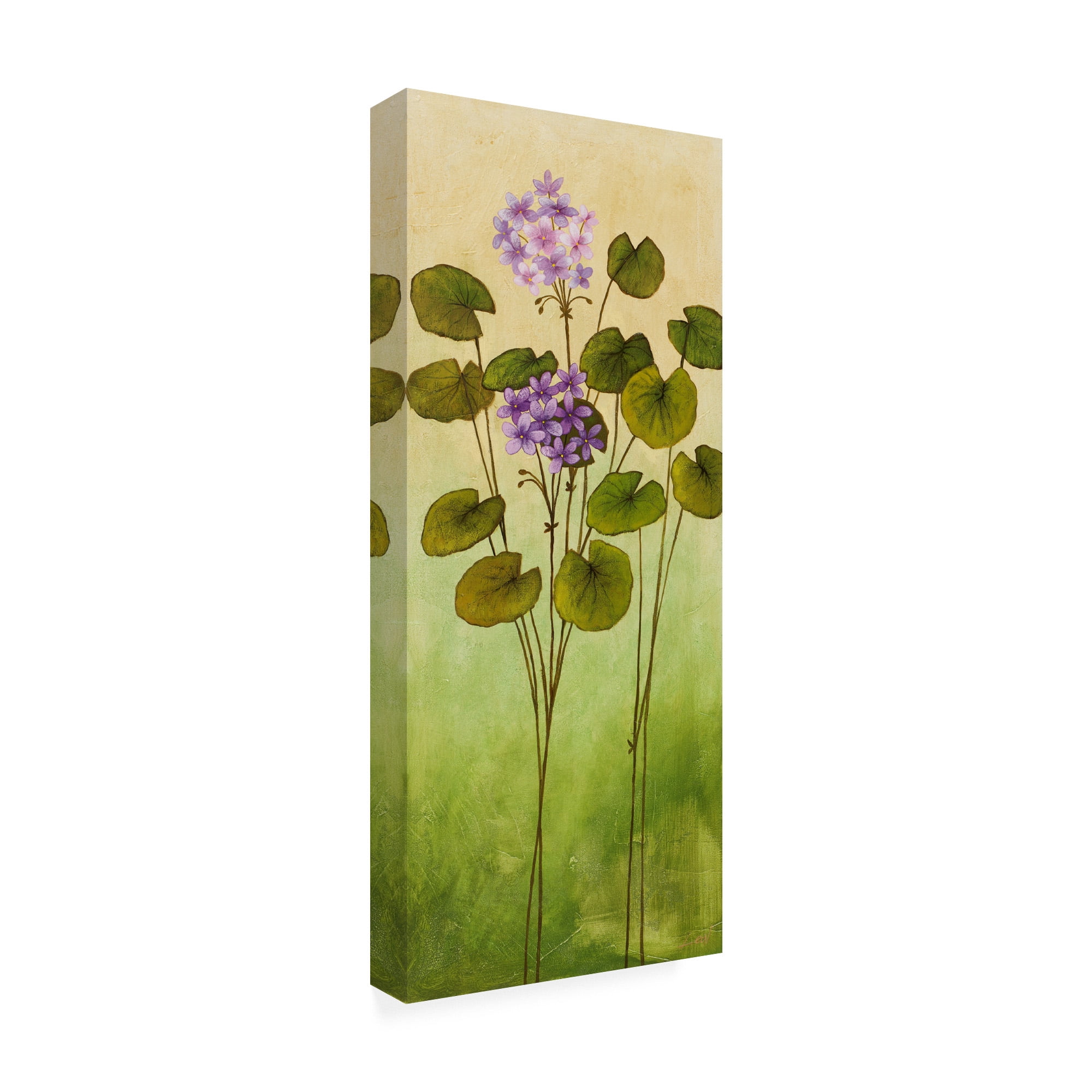 Trademark Fine Art 'Flowers Over Green Gradient 2' Canvas Art by Pablo Esteban