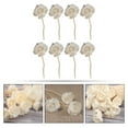 thumbnail image 4 of ACDANC Reed Diffuser Oil Refill with 8 Rattan Sticks, 4 of 4