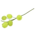 thumbnail image 1 of WEUVEB Rama Artificial De Flor Verde Claro Para Arreglos Y, 1 of 8