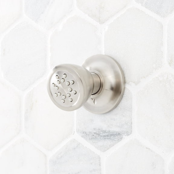 Signature Hardware 948941 2-1/2" Wide Round Swivel Brass Body Spray - Nickel