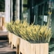 thumbnail image 5 of Plantas artificiales al aire libre, 8 paquetes de flores artificiales, ramo de lavanda en morado, arreglo de plantas artificiales, amarillo Jormftte HMHZ556-4, 5 of 6