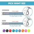 thumbnail image 7 of BAAPET Two Handle Dog Leash, Dual Soft Padded Handles with Traffic Control Handle Leash for Small Medium or Large Dogs (3/4'' x 5 FT, Gray), 7 of 7