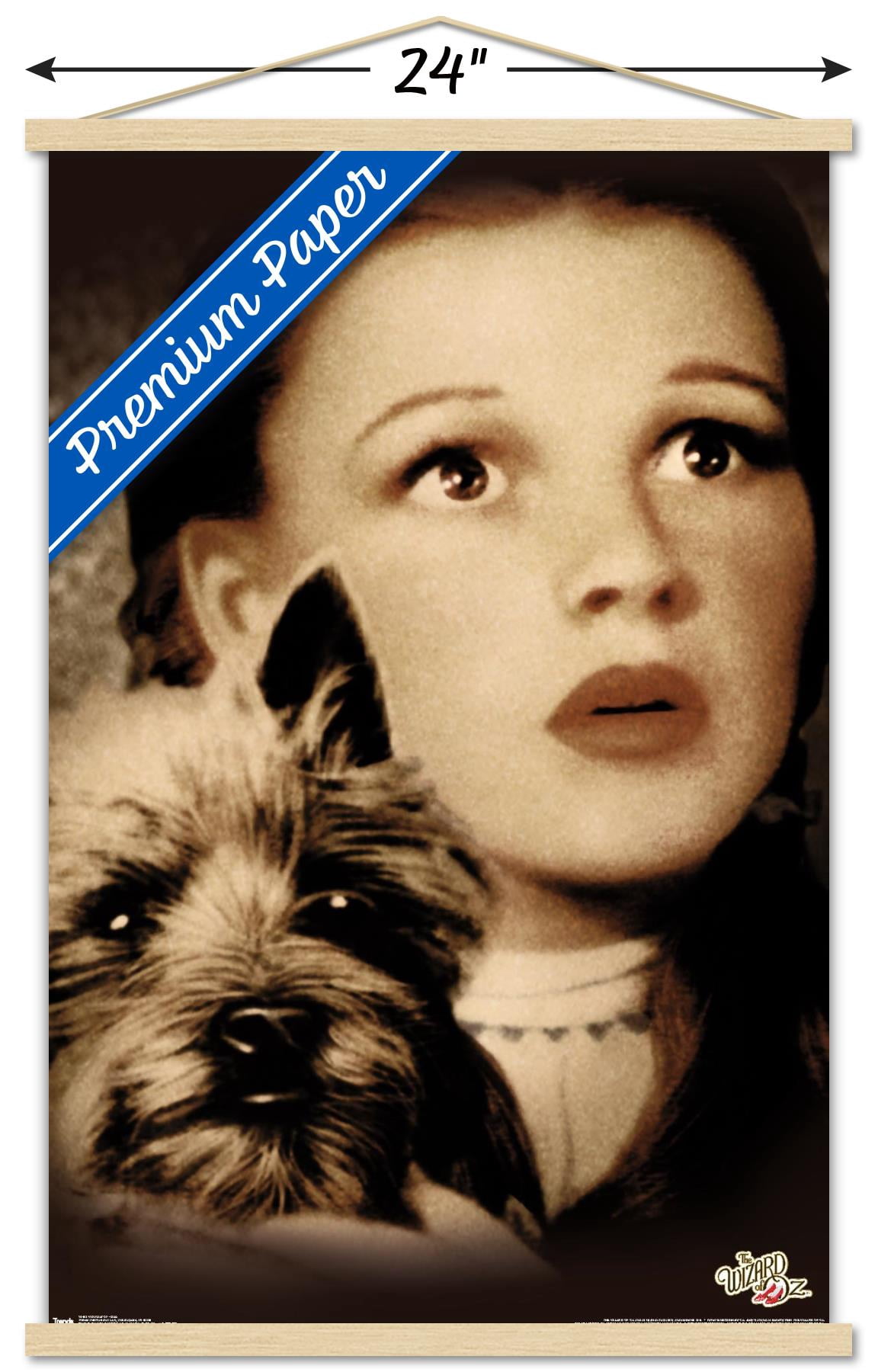 The Wizard Of Oz - Duo Wall Poster with Wooden Magnetic Frame, 22.375" x 34"