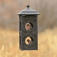 PerkyPet FlyThrough Wild Bird Feeder