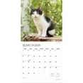 thumbnail image 3 of Kitten Cuddles | 2026 12x24" (Hanging) Monthly Square Wall Calendar | Plato, 3 of 9