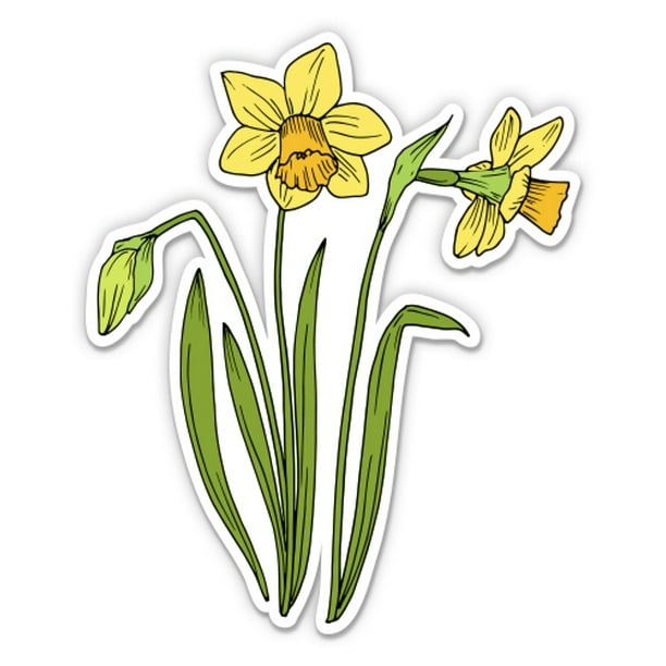 Daffodils Pretty Spring Flowers 12" Vinyl Sticker Waterproof Decal