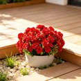 thumbnail image 6 of Dalxymotic Spring Floral Wall Hanging, Realistic Artificial Flower Wall Decor, Rattan Vine Hanging Ornament, Spring Flower Wall Hanging for Wall, Home, Living Room, Bedroom, Office, 6 of 6