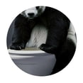 thumbnail image 4 of Acheng Panda Bear Round Tablecloth - Full Width Single-Sided Printing 100% Polyester Fiber Table Cloth 46-50, 4 of 8