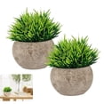 thumbnail image 1 of Planta falsa Apuakthei para baño/decoración del hogar, pequeña vegetación artificial para decoraciones del hogar (plantas en macetas), 1 of 7