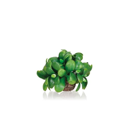 biOrb Mistletoe Ball