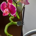 thumbnail image 2 of Miangastore 100pcs Orchid Plastic Clips Practical Plant Support Clips Flower Vine Clips Supporting Clips, 2 of 8