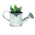 thumbnail image 2 of Northlight 4" Two Tone Tropical Spikey Succulent in Water Can Artificial Potted Plant - Green/Silver, 2 of 2