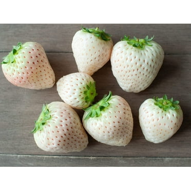 White Strawberry Seeds - 500  Seeds - White Pineberry Seeds - Made in USA, Ships from Iowa.