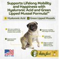 thumbnail image 5 of Happy Jack® Flexenhance™  Plus + HA Dog Hip and Joint Supplement with Skin & Coat Support (80 Chewable Tabs), Improve Flexibility & Mobility, Glucosamine, Green Lipped Mussel, Fish Oil, 5 of 8