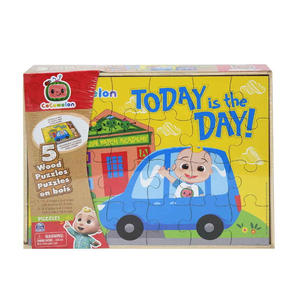 5 Pack Wood Puzzles with Wooden Storage Box