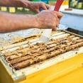 thumbnail image 5 of 2 Pack Stainless Steel Bee Hive Tools Scrapers 2 Styles Raising Frame Beekeeper Beekeeping Equipment, 5 of 5