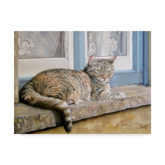 Trademark Fine Art 'Windowsill' Canvas Art by Janet Pidoux