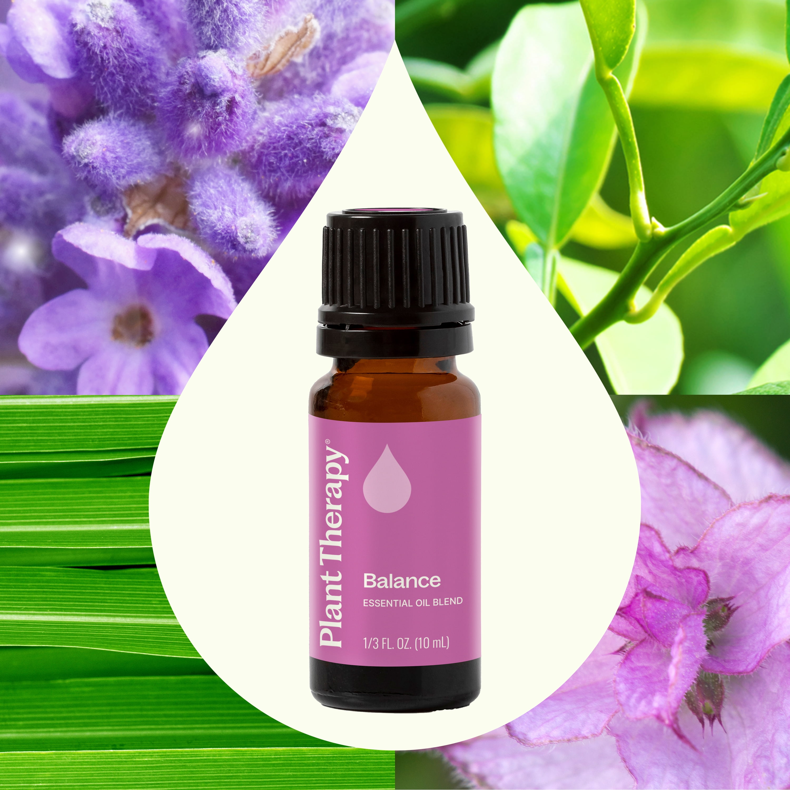 Plant Therapy Balance Essential Oil Blend 10 mL (1/3 oz) 100% Pure, Undiluted, Natural Aromatherapy