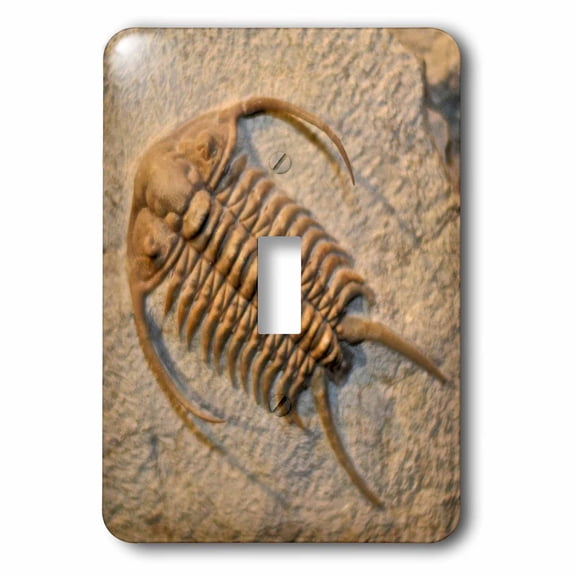 3dRose, Cheirurus exsul from the Ordovic Russia, single toggle switch