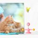 thumbnail image 4 of Juguete interactivo para gatos Zulema varita de resorte con ventosa rosa molino de viento, 4 of 8