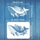thumbnail image 2 of Plantilla de ballena reutilizable de 8.3 x 11.7 pulgadas. Plantilla para dibujar una ballena azul. Arte DIY. Vida marina de verano. Plantilla de ballena grande., 2 of 9