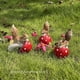 thumbnail image 4 of Squirrel Mushroom Resin Statue Ornaments, 4 of 5
