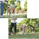 thumbnail image 4 of Arnés antitirones para perros, chaleco ajustable con asa transpirable, arnés deportivo para el pecho, naranja, talla grande., 4 of 4