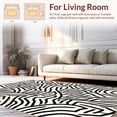 thumbnail image 2 of ODIKA 2'x3' Machine Washable Non-Slip Area Rug, Modern Abstract Zebra Inspired With Ivory Base High Traffic Rug, Black, 292690, 2 of 7