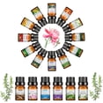 thumbnail image 4 of 10ml de incienso Soluble en agua aceite esencial lavanda árbol de té limón rosa océano aroma humidificadores refrescante relajarse liberar estrés, 4 of 5