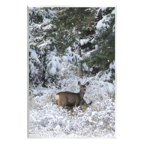 Stupell Industries Deer in Winter Trees Animals & Insects Photography Unframed Art Print Wall Art, 10 x 15