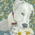 thumbnail image 2 of Roll, Dlynn 20x20 Black Ornate Wood Framed with Double Matting Museum Art Print Titled - Dlynns Dogs - Patch, 2 of 4