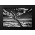 thumbnail image 2 of Linden, Sally 14x11 Black Modern Framed Museum Art Print Titled - Desert Tree, 2 of 5