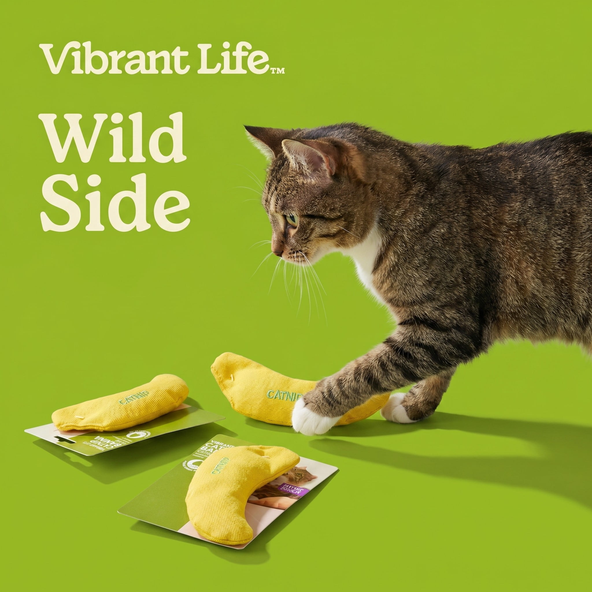 Vibrant Life Catnip Banana Cat Toy